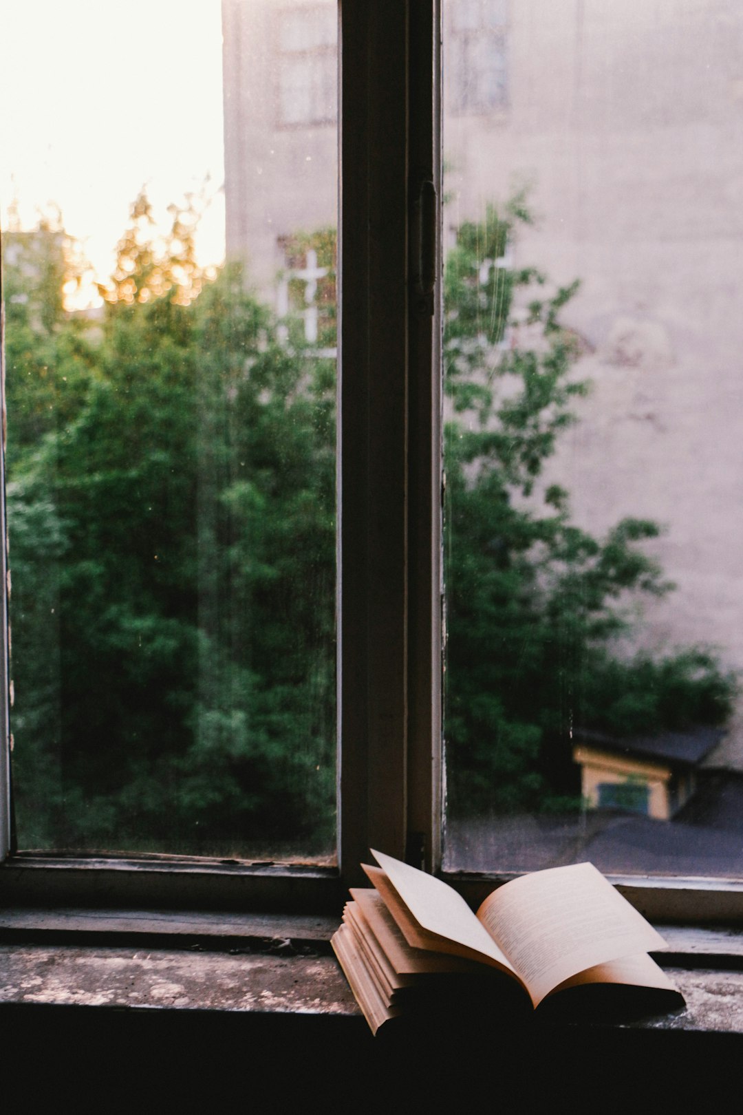 book near glass window book near glass window
