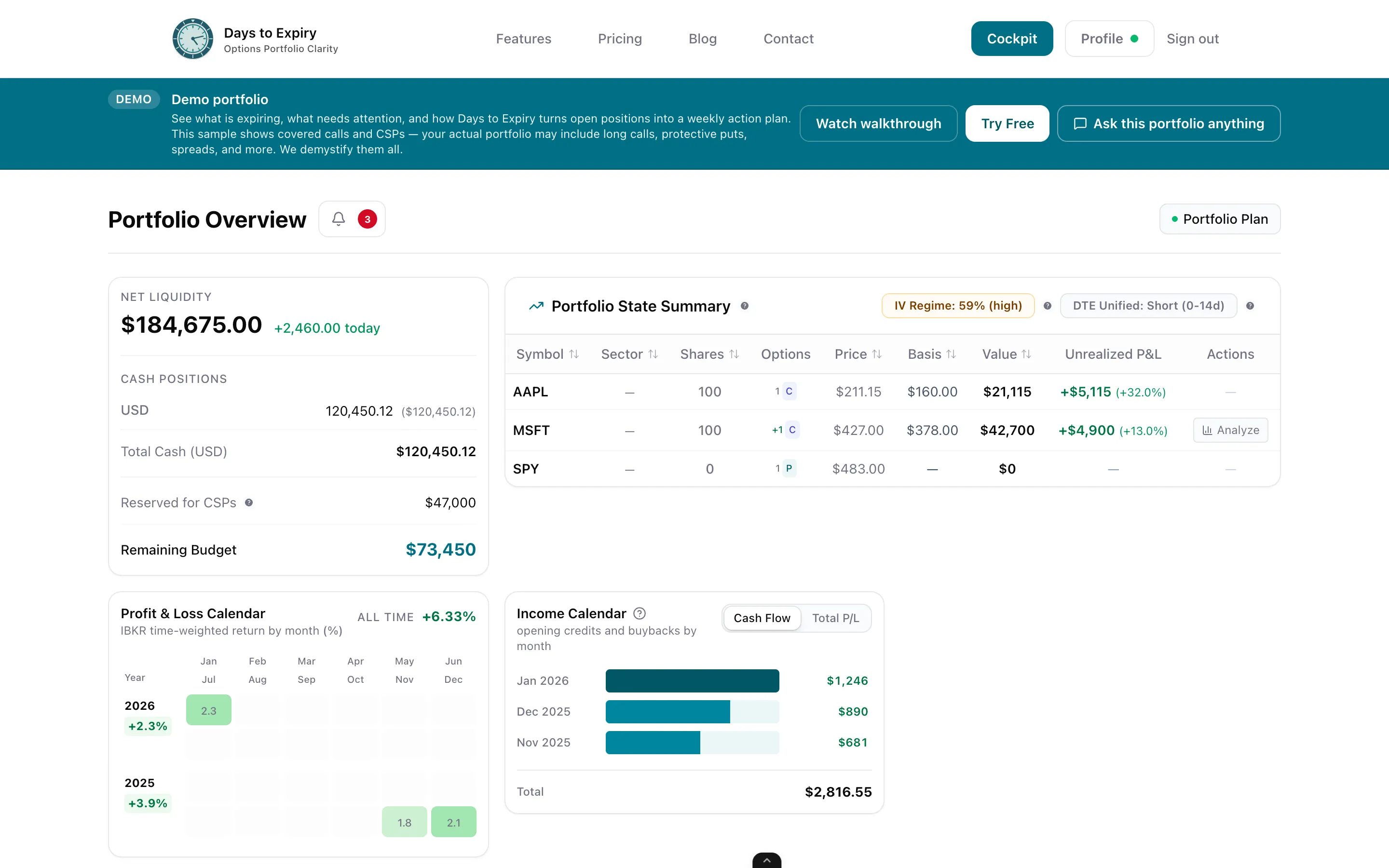 Portfolio scanner overview with holdings, liquidity, and expiring positions